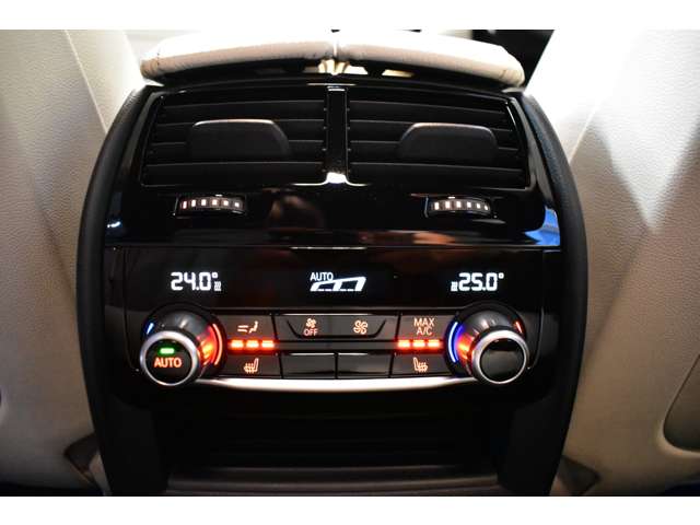 ＢＭＷ ５シリーズ ５３０ｉ　Ｍスポーツ H29年 (関東) 99