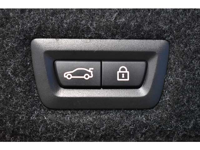 ＢＭＷ ５シリーズ ５３０ｉ　Ｍスポーツ H29年 (関東) 99