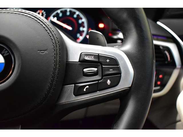 ＢＭＷ ５シリーズ ５３０ｉ　Ｍスポーツ H29年 (関東) 99