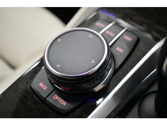 ＢＭＷ ５シリーズ ５３０ｉ　Ｍスポーツ H29年 (関東) 99