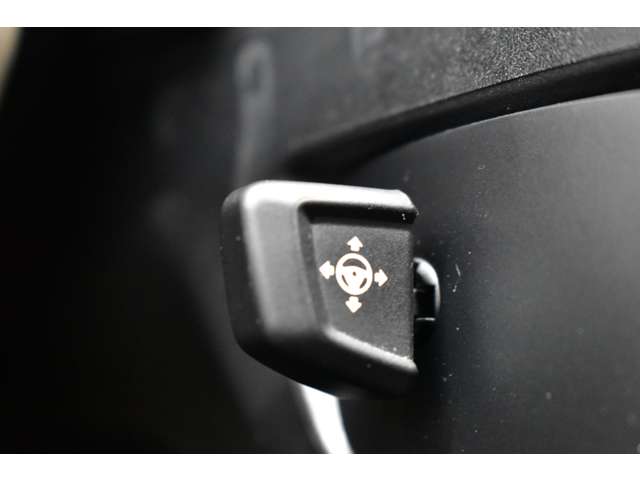 ＢＭＷ ５シリーズ ５３０ｉ　Ｍスポーツ H29年 (関東) 99