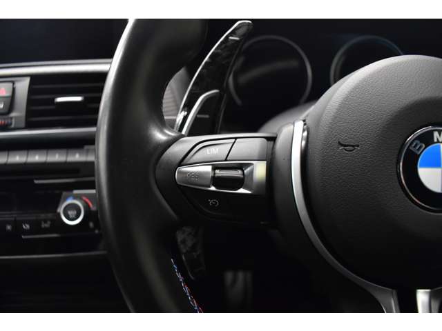 ＢＭＷ Ｍ２クーペ Ｍ ＤＣＴ ドライブロジック H29年 (関東) 99