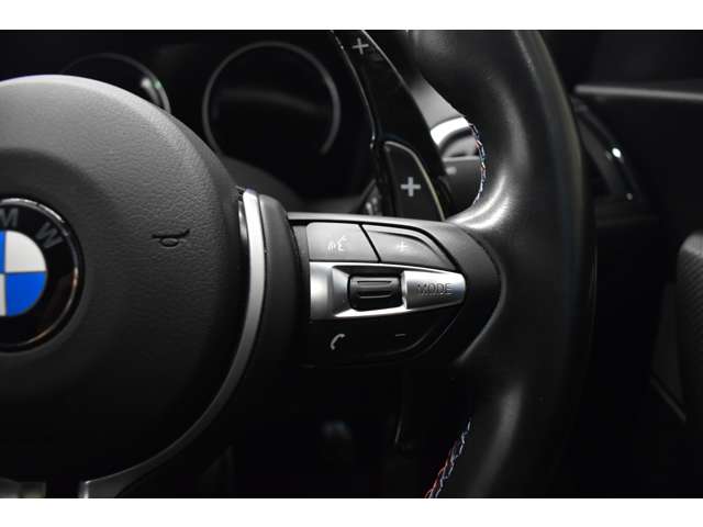 ＢＭＷ Ｍ２クーペ Ｍ ＤＣＴ ドライブロジック H29年 (関東) 99