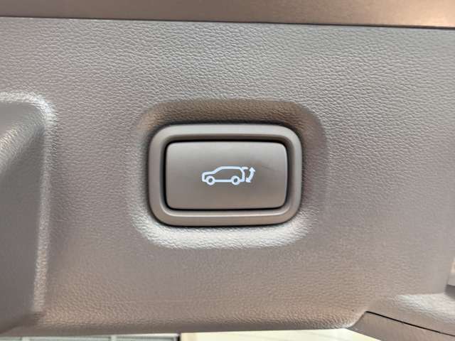 ヒョンデ アイオニック　５ ラウンジ ＡＷＤ ４ＷＤ R5年 (関東) 99