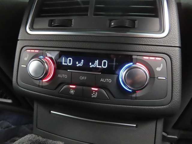 アウディ ＲＳ６　アバント ４．０ ４ＷＤ H26年 (関東) 99