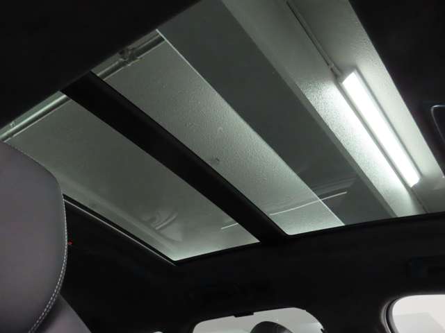 アウディ ＲＳ６　アバント ４．０ ４ＷＤ H26年 (関東) 99