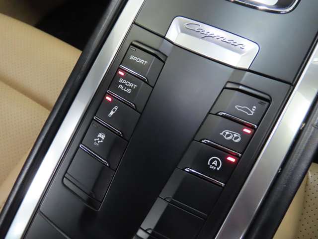 ポルシェ ケイマン ＧＴＳ ＰＤＫ H26年 (関東) 99