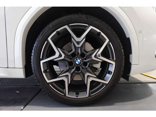 ＢＭＷ Ｘ２ Ｘドライブ２０Ｉ Ｍスポーツ ４ＷＤ R6年 (近畿) 99