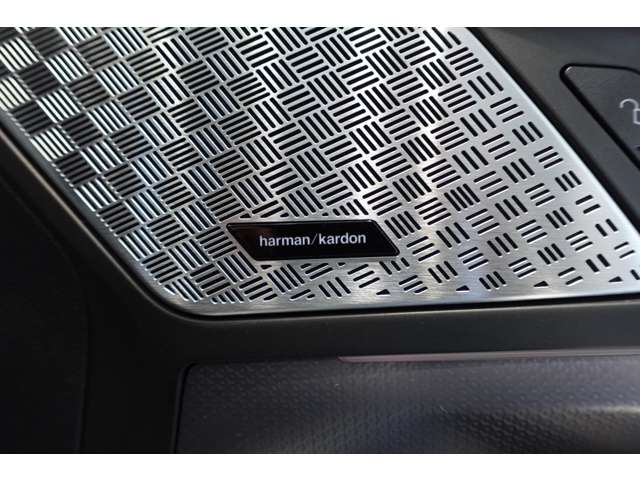 ＢＭＷ Ｘ２ Ｘドライブ２０Ｉ Ｍスポーツ ４ＷＤ R6年 (近畿) 99