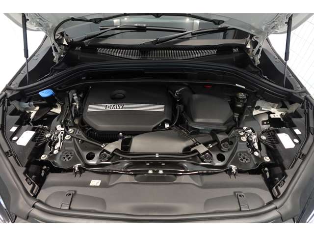 ＢＭＷ Ｘ２ Ｘドライブ２０Ｉ Ｍスポーツ ４ＷＤ R6年 (近畿) 99