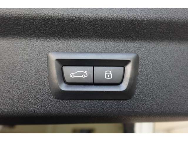 ＢＭＷ Ｘ２ Ｘドライブ２０Ｉ Ｍスポーツ ４ＷＤ R6年 (近畿) 99