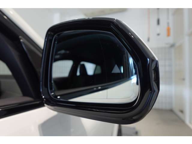 ＢＭＷ Ｘ２ Ｘドライブ２０Ｉ Ｍスポーツ ４ＷＤ R6年 (近畿) 99