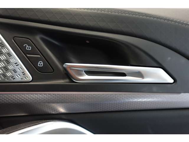 ＢＭＷ Ｘ２ Ｘドライブ２０Ｉ Ｍスポーツ ４ＷＤ R6年 (近畿) 99