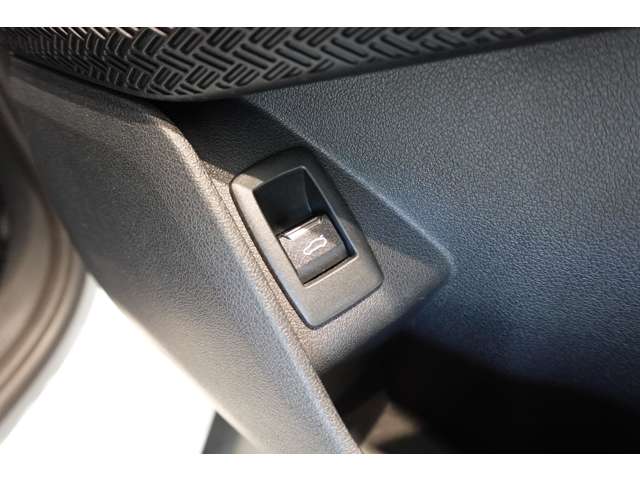 ＢＭＷ Ｘ２ Ｘドライブ２０Ｉ Ｍスポーツ ４ＷＤ R6年 (近畿) 99