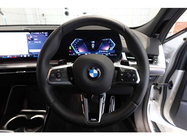 ＢＭＷ Ｘ２ Ｘドライブ２０Ｉ Ｍスポーツ ４ＷＤ R6年 (近畿) 99