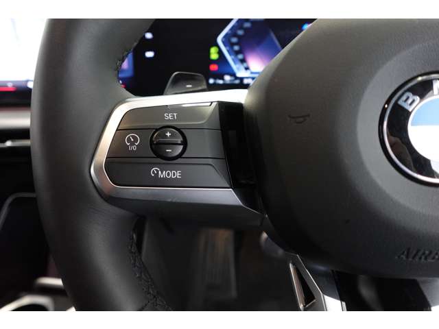 ＢＭＷ Ｘ２ Ｘドライブ２０Ｉ Ｍスポーツ ４ＷＤ R6年 (近畿) 99