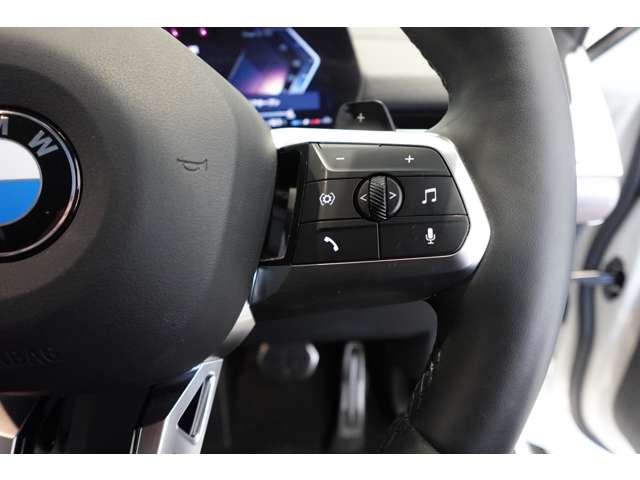 ＢＭＷ Ｘ２ Ｘドライブ２０Ｉ Ｍスポーツ ４ＷＤ R6年 (近畿) 99