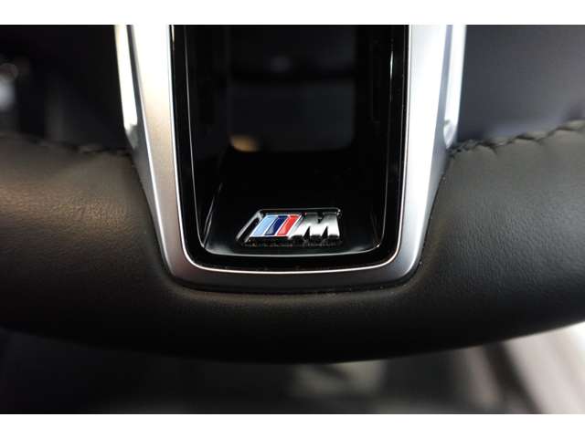 ＢＭＷ Ｘ２ Ｘドライブ２０Ｉ Ｍスポーツ ４ＷＤ R6年 (近畿) 99