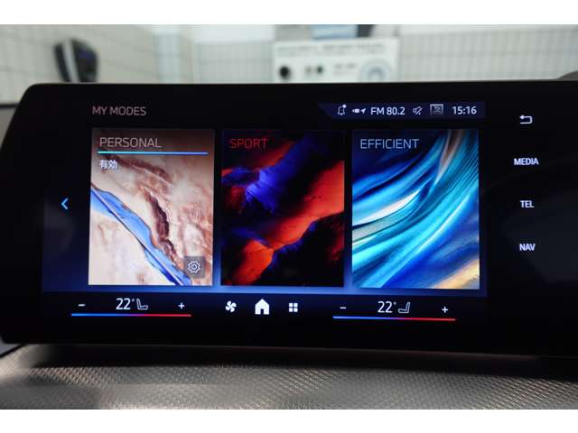 ＢＭＷ Ｘ２ Ｘドライブ２０Ｉ Ｍスポーツ ４ＷＤ R6年 (近畿) 99