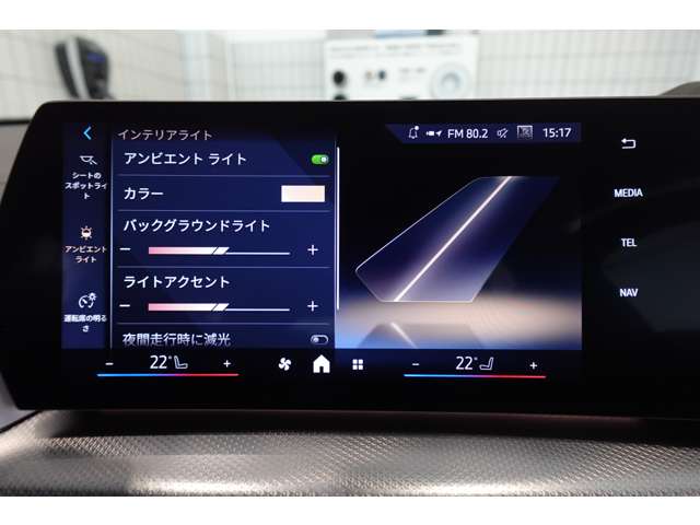 ＢＭＷ Ｘ２ Ｘドライブ２０Ｉ Ｍスポーツ ４ＷＤ R6年 (近畿) 99