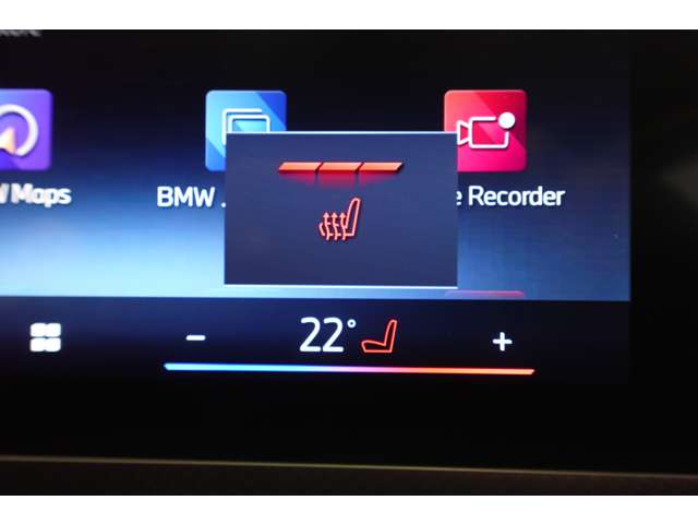 ＢＭＷ Ｘ２ Ｘドライブ２０Ｉ Ｍスポーツ ４ＷＤ R6年 (近畿) 99