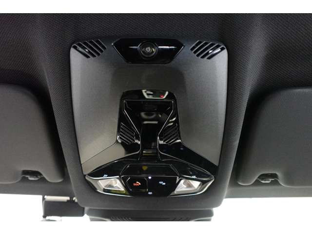 ＢＭＷ Ｘ２ Ｘドライブ２０Ｉ Ｍスポーツ ４ＷＤ R6年 (近畿) 99