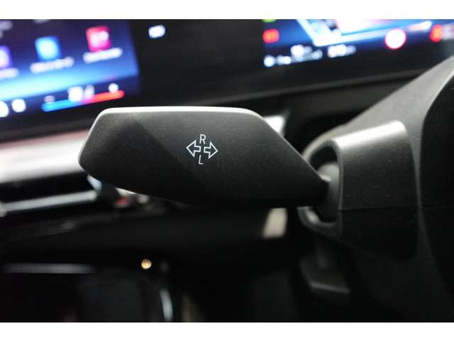 ＢＭＷ Ｘ２ Ｘドライブ２０Ｉ Ｍスポーツ ４ＷＤ R6年 (近畿) 99