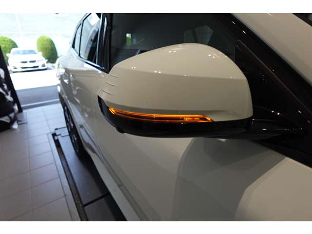 ＢＭＷ Ｘ２ Ｘドライブ２０Ｉ Ｍスポーツ ４ＷＤ R6年 (近畿) 99