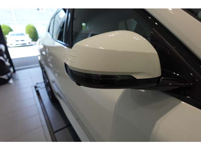 ＢＭＷ Ｘ２ Ｘドライブ２０Ｉ Ｍスポーツ ４ＷＤ R6年 (近畿) 99