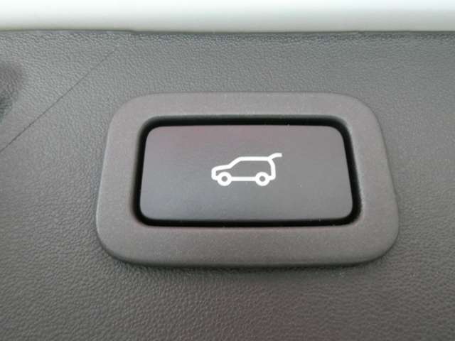 ランドローバー ディスカバリー　スポーツ ランドマークプラス ディーゼルターボ ４ＷＤ R1年 (関東) 99