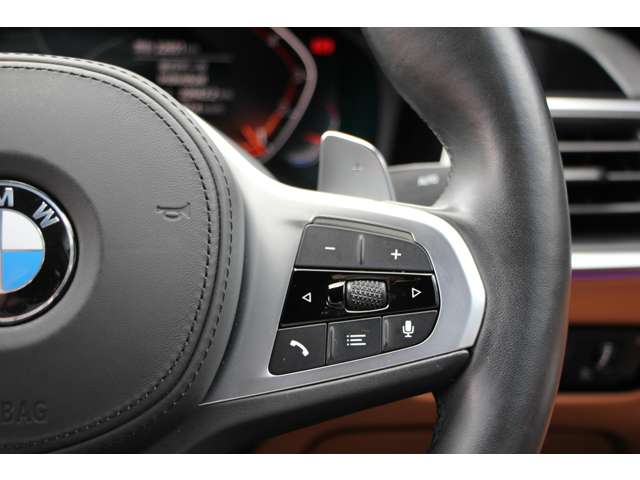 ＢＭＷ ３シリーズ ３２０ｉ　Ｍスポーツ R1年 (関東) 99