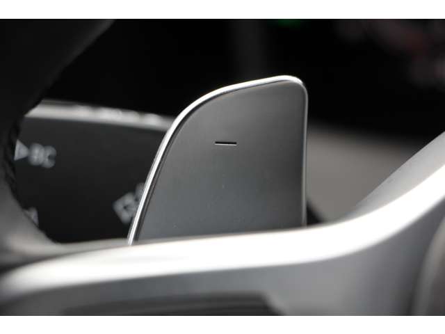 ＢＭＷ ３シリーズ ３２０ｉ　Ｍスポーツ R1年 (関東) 99