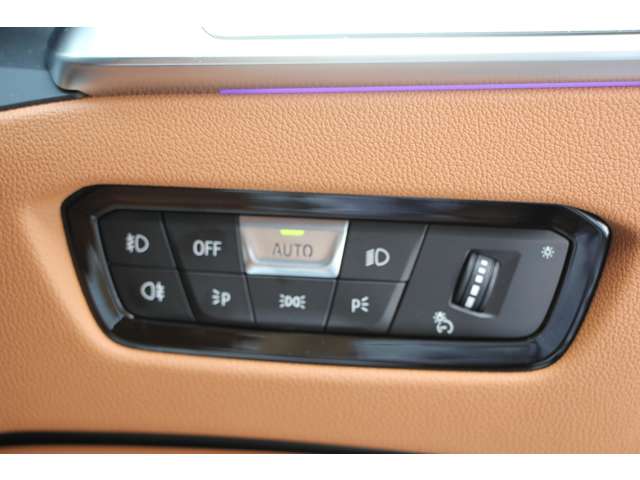 ＢＭＷ ３シリーズ ３２０ｉ　Ｍスポーツ R1年 (関東) 99