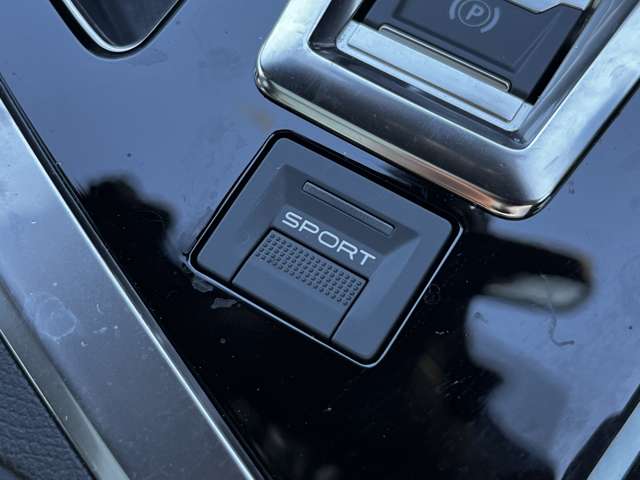 プジョー ３００８ ＧＴライン ブルーＨＤＩ ディーゼルターボ R2年 (東北) 99