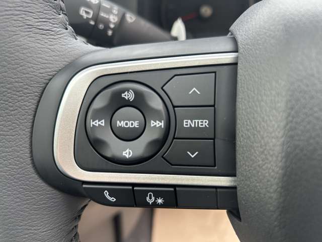 ダイハツ タフト ６６０ Ｇ ダーククロム ベンチャー ４ＷＤ R6年 () 99