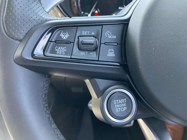 アルファロメオ トナーレ エディツィオーネ　スペチアーレ R5年 (東北) 99