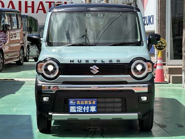 スズキ ハスラー ６６０ タフワイルド R7年 (東海) 99