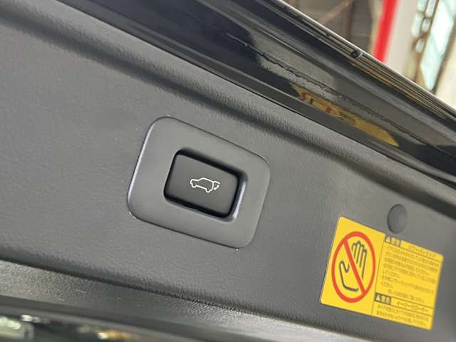 トヨタ ヴェルファイア ２．４ Ｚ ゴールデンアイズＩＩ H25年 (関東) 99