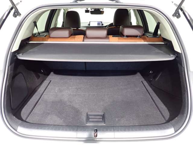 レクサス ＣＴ２００ｈ バージョンＣ R4年 (関東) 99