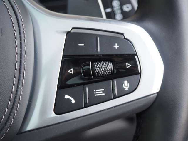 ＢＭＷ Ｘ７ Ｘドライブ４０Ｄ Ｍスポーツ ディーゼルターボ ４ＷＤ R5年 (近畿) 99