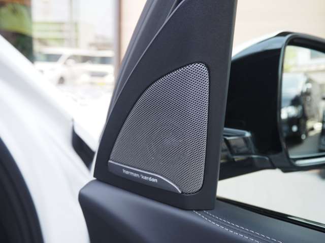 ＢＭＷ Ｘ７ Ｘドライブ４０Ｄ Ｍスポーツ ディーゼルターボ ４ＷＤ R5年 (近畿) 99