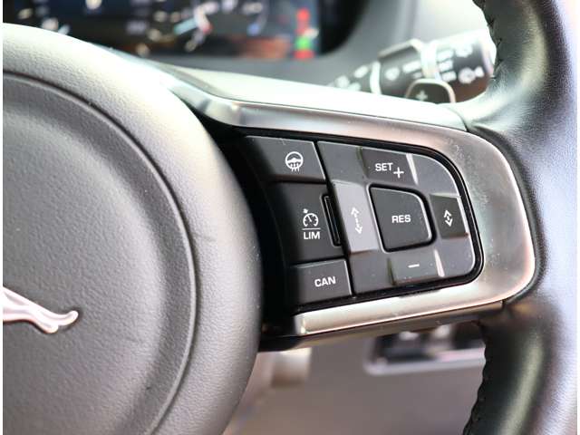 ジャガー Ｆペース ３５Ｔ Ｒスポーツ ４ＷＤ H29年 (関東) 99