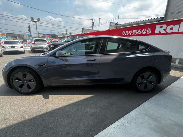 テスラ モデル３ スタンダードレンジプラス R3年 (東海) 99