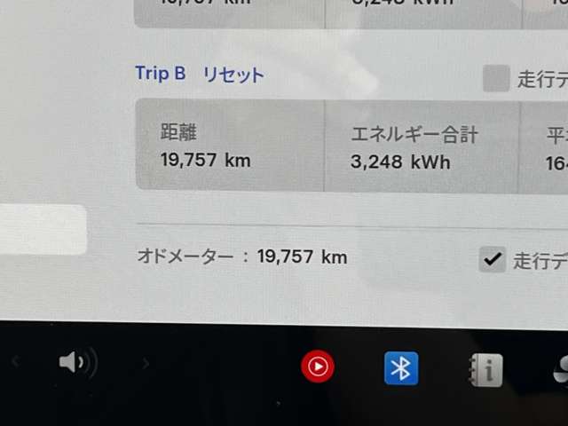 テスラ モデル３ スタンダードレンジプラス R3年 (東海) 99