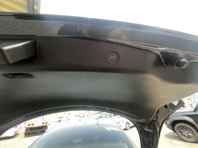 テスラ モデル３ スタンダードレンジプラス R3年 (東海) 99