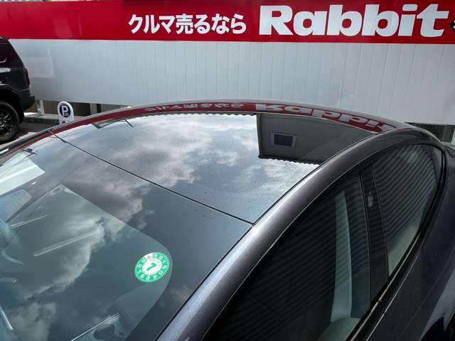 テスラ モデル３ スタンダードレンジプラス R3年 (東海) 99