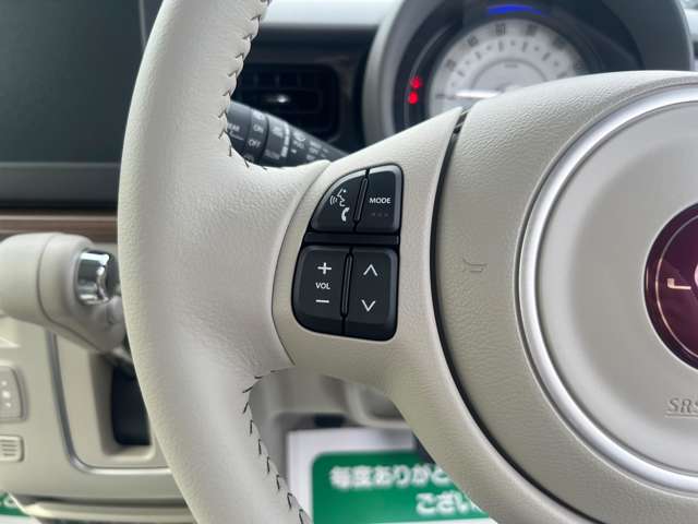 スズキ アルトラパン　ＬＣ ＬＣ ６６０ Ｘ R6年 (関東) 99