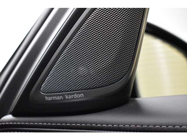 ＢＭＷ ７シリーズ ７４０ｉ　Ｍスポーツ H29年 (関東) 99