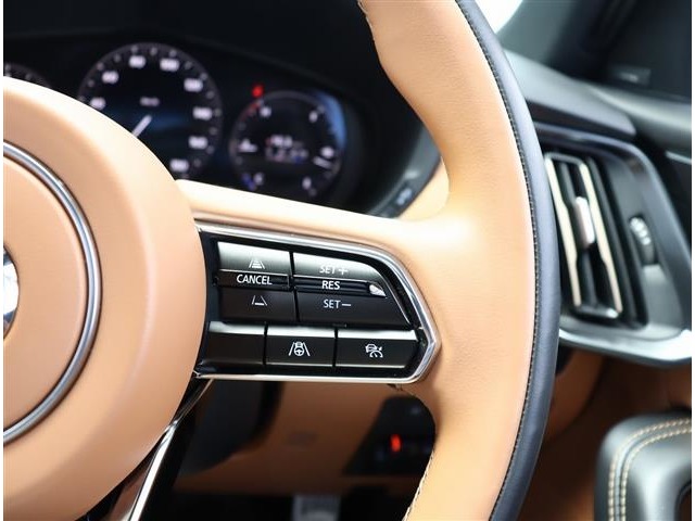 マツダ ＣＸ−６０ ３．３ ＸＤハイブリッド プレミアム スポーツ ディーゼルターボ ４ＷＤ R5年 (関東) 99
