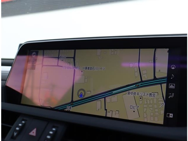 レクサス ＥＳ３００ｈ Ｆスポーツ R1年 (関東) 99